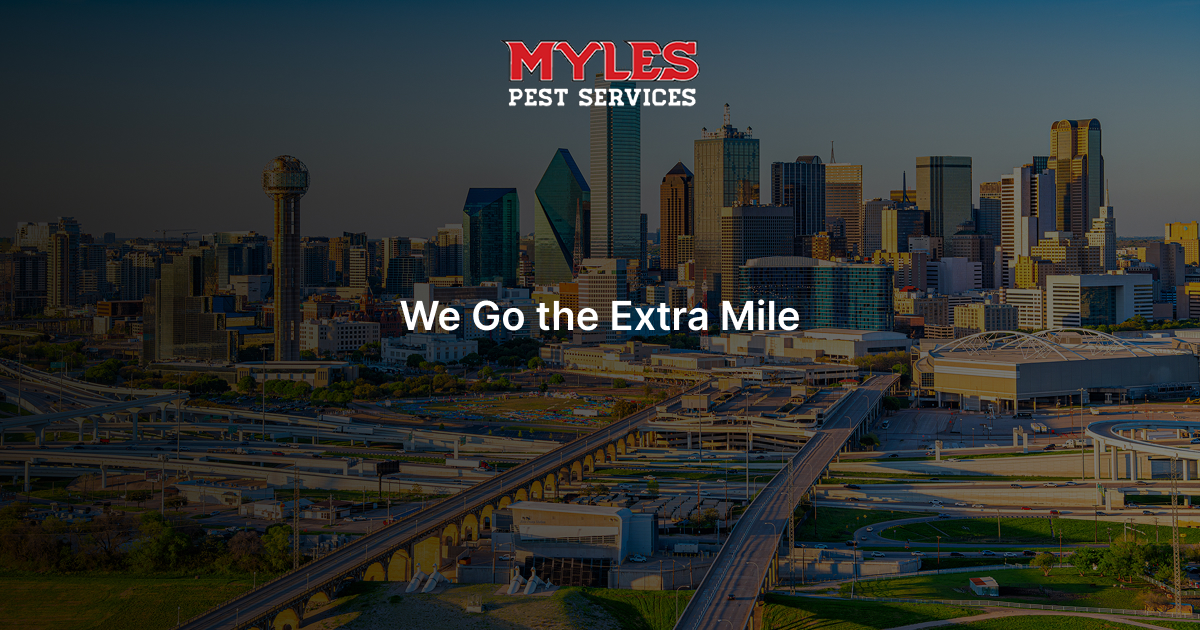 mylespest.com logo