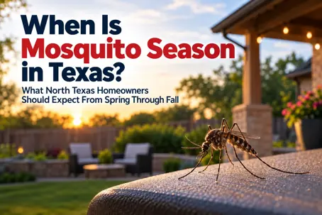 when is mosquito season in texas?