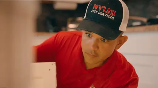 Pest control specialist in home kitchen