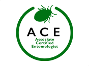 ACE