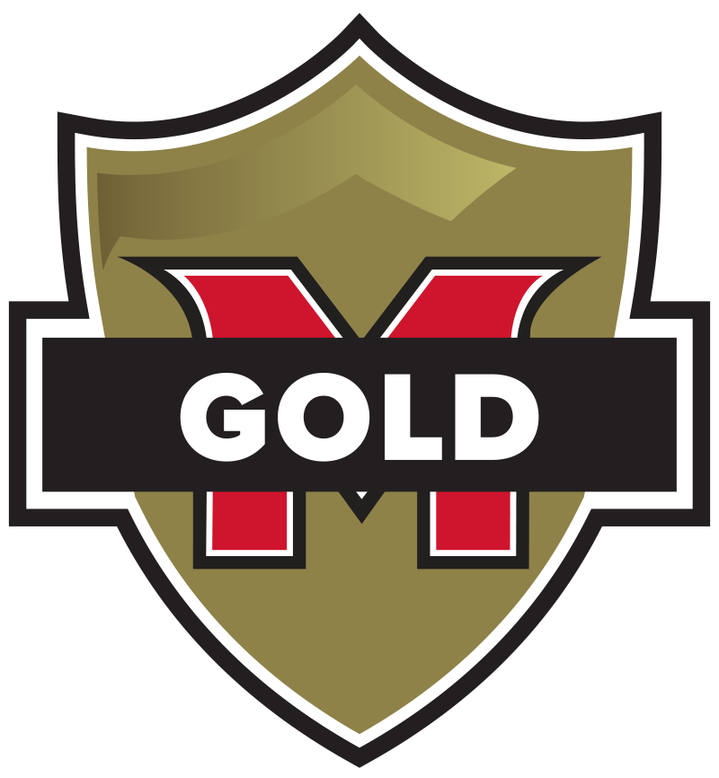 Gold package icon