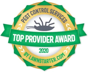 Top Provider Award 2020