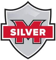 Silver package icon