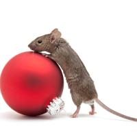 mouse with christmas decor