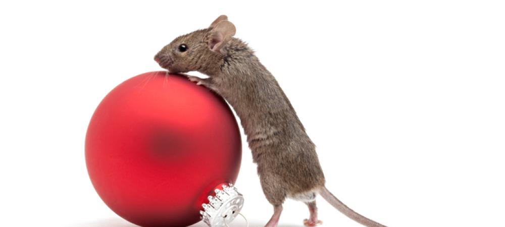 mouse with christmas decor